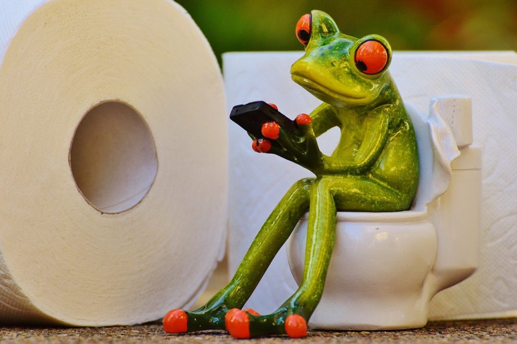 frog, toilet, loo-1037251.jpg